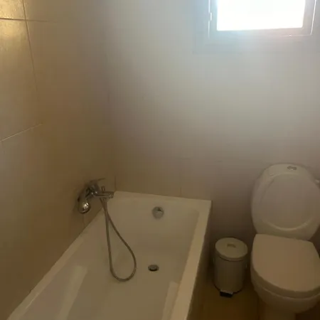 καμέλια Hotel Artemisia
