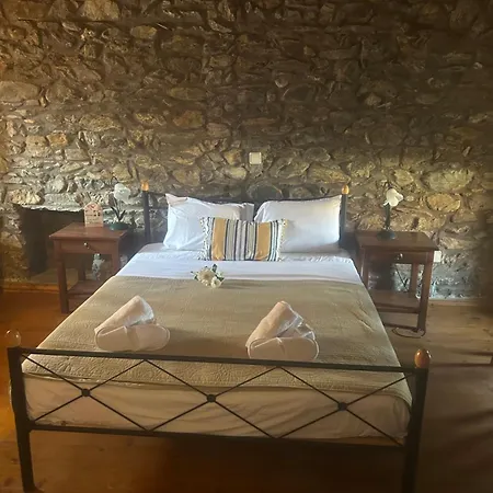 καμέλια *