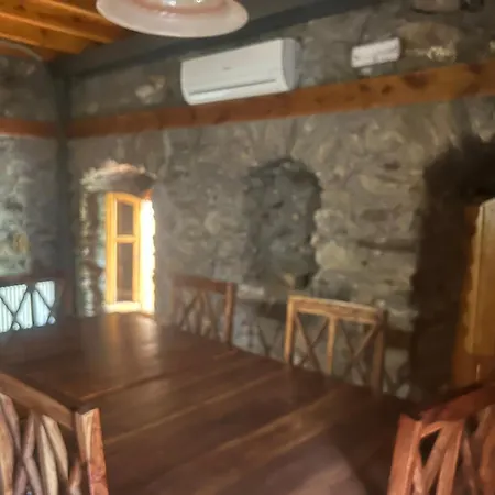 καμέλια